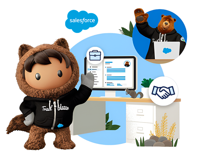 Salesforce Customization Illustration
